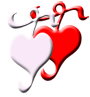 COMPATIBILITY REPORT
