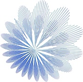 Fei's Mandalas'