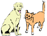 Pets Report for Kepler and Pegasus